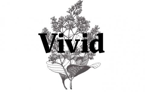 Vivid Landscapes Logo